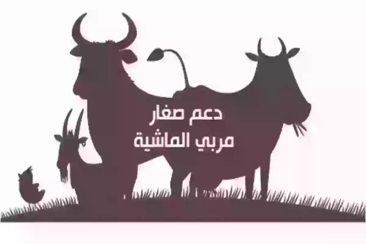 طريقة التسجيل في دعم المواشي .. mewa.gov.sa وزارة البيئة توضح