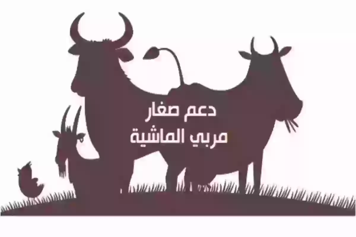 كيف اعرف انه تم قبولي في دعم المواشي؟! الاستعلام عن الأهلية والاستحقاق