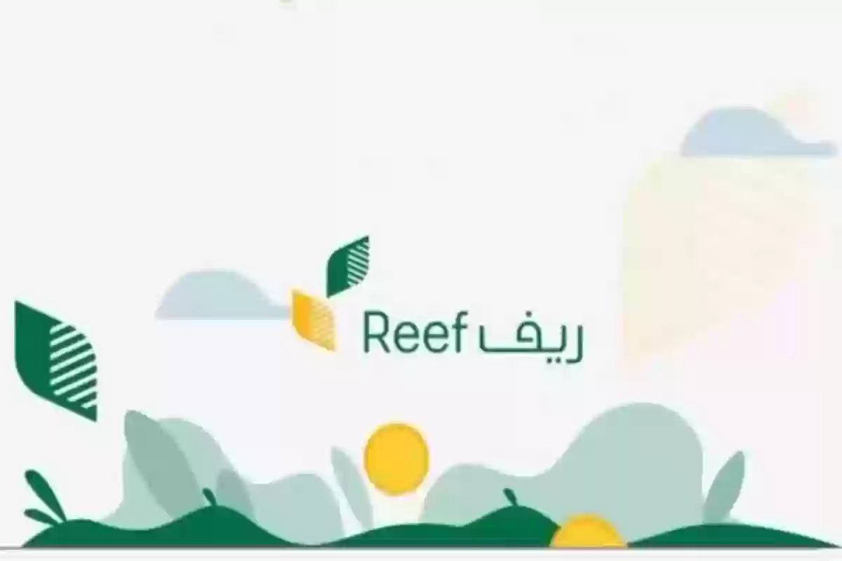 برنامج ريف يوضح .. شروط ومتطلبات الحصول على الدعم