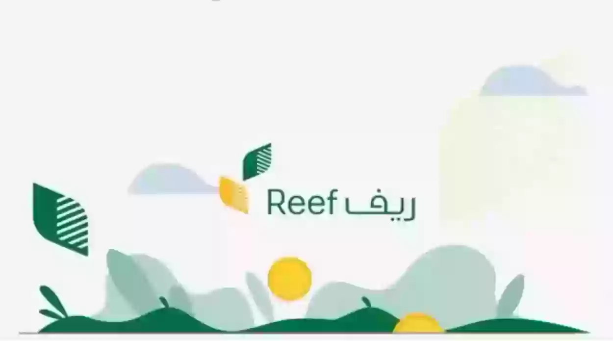 هل يؤثر السجل التجاري على دعم ريف