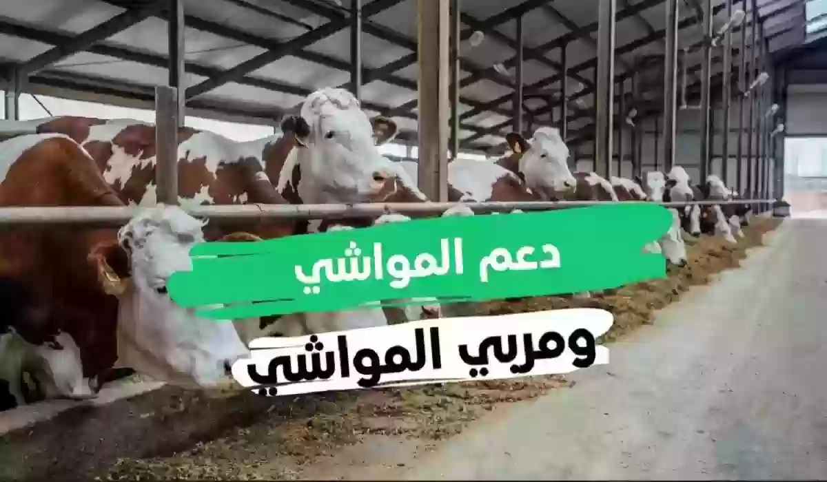 خطوات التسجيل في دعم المواشي 1445 وطريقة الاستعلام 