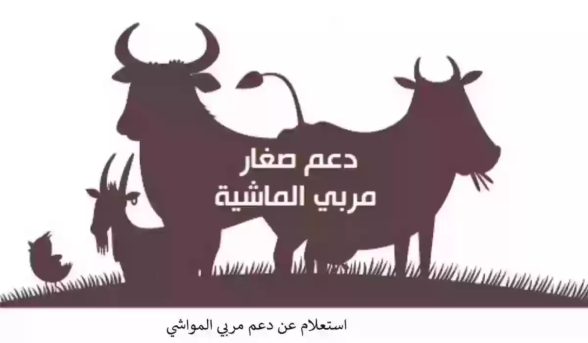 كيفية الاستعلام عن دعم صغار مربي المواشي في المملكة 1445 