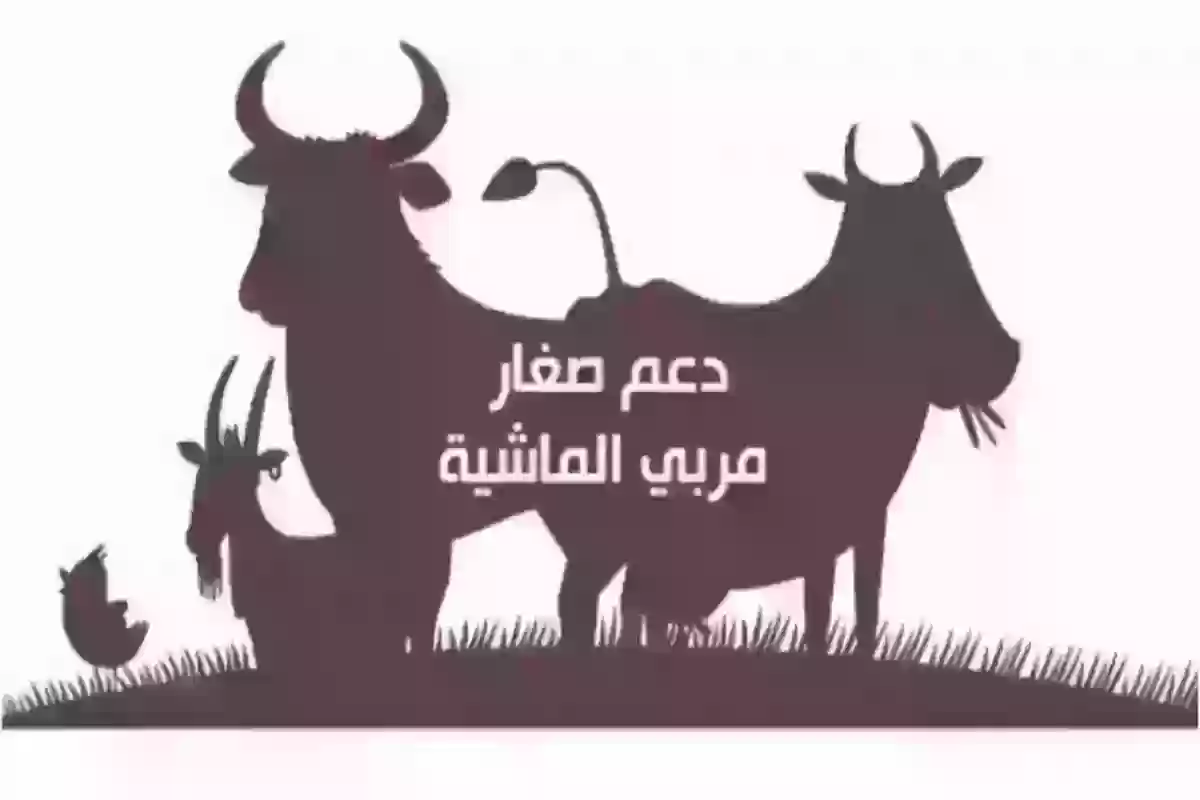 متى ينزل دعم المواشي شهر يوليو وخطوات الاستعلام عن الدعم